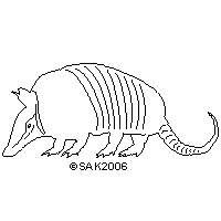 dxf armadillo