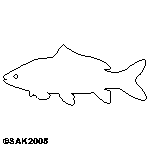 fish.dxf