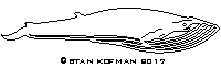 Blue Whale dxf