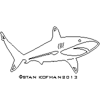 shark dxf